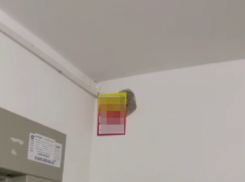 Краснодарцы подали жалобу на заклеивших весь подъезд листовками рекламщиков