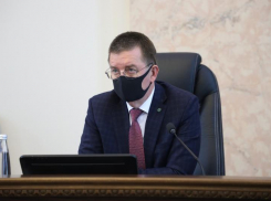 В Краснодарском крае господдержку смогут получить инвесторы-чаеводы со всей России