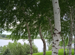 Актуальный Краснодар сегодня: еще потеплеет. Расстаемся со страхами. Выходим в полдень на дорогу. Вспоминаем фестиваль молодежи Кубани 