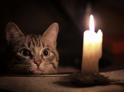 Около 10 тыс. жителей Краснодара остались без света