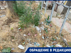 В логово маргиналов превратилась территория возле остановки в Краснодаре 