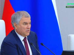 Это - дискриминация женщин: краснодарский политолог о заявлении Володина брать на госслужбу лишь служивших