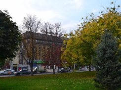 Осенний фоторепортаж из Краснодара: немного пасмурно и много красиво