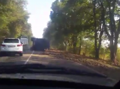  «КамАЗ» с сахарной свеклой перевернулся на Кубани 