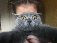  Жителей Краснодара предупредили о трескучем морозе и ураганном ветере 