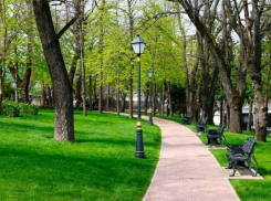 Краснодарцам предложили выбрать зеленые зоны для благоустройства в 2020 году