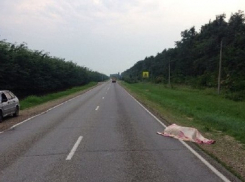 В Краснодаре неизвестный водитель-убийца скрылся с места ДТП