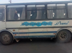 «Лучше трамвай за 26 рублей, чем маршрутка бесплатно»: Начался флешмоб от известных краснодарцев