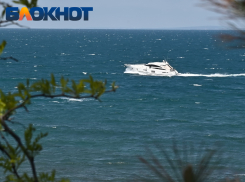 Страшная вонь, тревога и огромная сумма: туристов разочаровала морская прогулка в Сочи