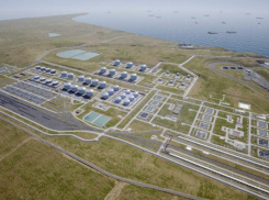 Невосполнимая потеря рыб: на Тамани собираются строить опасный химзавод