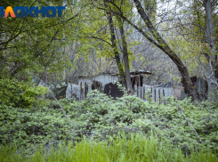 В Краснодарском крае до 27 июля запретили посещать леса и жечь костры