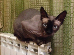 Краснодарцы согревались 10 дней в апреле, а заплатят за целый месяц