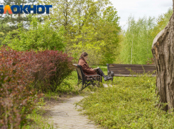 Концерты во дворах и кино под открытым небом: где «окультуриться» краснодарцам в ближайшие дни