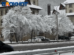 Аномальное тепло в Краснодаре сменится мощной непогодой 