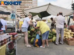 Инжир, сливы, алыча, арбузы: ярмарки выходного дня открылись в Краснодаре