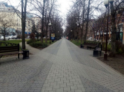  Первышов решил продуманно развивать Краснодар 