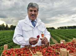 «Экс-губернатору Кубани Ткачеву не повезло»: КПРФ выдвинула Грудинина кандидатом