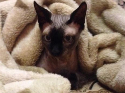 Зимняя прохлада ожидается в Краснодарском крае в воскресенье 