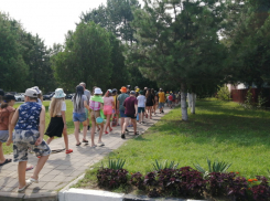 В Краснодарском крае 115 детей находятся в эвакуационных пунктах