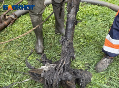 Парковочный столб достали из канализации в Краснодаре