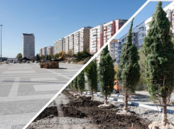 В Юбилейном микрорайоне Краснодара в декабре появится новая аллея