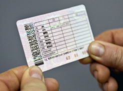 На Кубани закрыли сайт, торговавший «липовыми» правами 