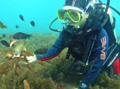 Опытный дайвер опубликовал петицию против директора дайв-центра Геленджика