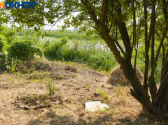 В Краснодарском крае 7 июля станет еще жарче