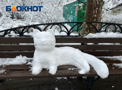 Налипание снега и гололед спрогнозировали в Краснодарском крае