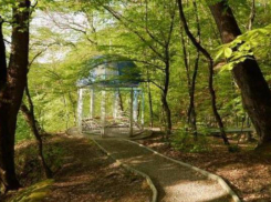 Кондратьев поручил разбить в Горячем Ключе полноценный парк