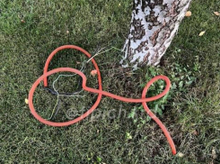 В Краснодарском крае закрылась база отдыха «Капустяная балка» после гибели девочки от удара током