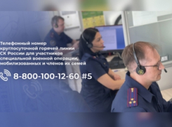 По поручению Бастрыкина заработала горячая линия для участников спецоперации, мобилизованных и их семей