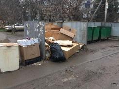  «Приходится тушить проблему бюджетными деньгами», - мэр Краснодара о мусорной проблеме 