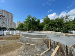 На Николаевском бульваре в Краснодаре высадят 400 новых деревьев