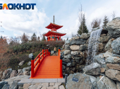 За день Японский сад в парке «Краснодар» посещают около 4 тысяч человек