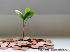 Кредитный портфель физических лиц в РНКБ превысил 110 млрд рублей