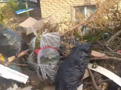 Улицу Некрасова в Краснодаре завалили мусором