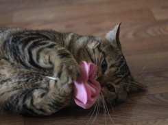 Майские грозы продолжают бушевать на Кубани