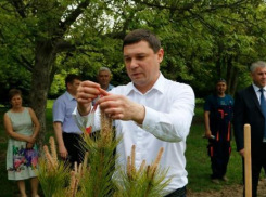 Мэр предложил краснодарцам самим озеленять город 