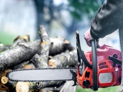 Кубанский пенсионер и молодой сосед не поделили бензопилу