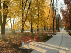 Бульвару в Комсомольском районе быть: Первышов заявил, что обещание нужно сдержать