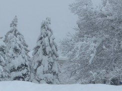 Погибло два человека, введен режим ЧС: мощная непогода обрушилась на Кубань и Адыгею 