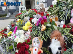 В Краснодаре магазины раздают гвоздики для мемориалов погибшим в «Крокусе»