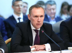 Кубанский депутат Госдумы: нужно проверить стоимость перелетов на российские курорты