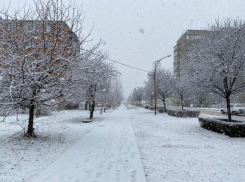 В Краснодаре ожидаются сугробы до 25 сантиметров