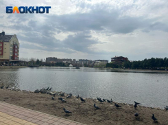 В последний рабочий день в Краснодаре дождя не будет