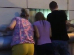 Котенка, застрявшего в стене дома, освободили в Краснодаре 