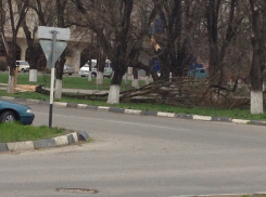 В Армавире сильными порывами ветра сорваны кровли крыш и повалены деревья