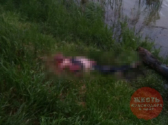  Возле Карасуна в Краснодаре нашли изуродованное тело мужчины 