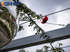 Серую и прохладную погоду прогнозируют в Краснодаре